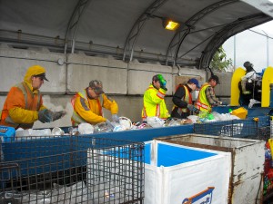 MR Recycling Depot - Plastics Sort Line MR Recycling Depot - Plastics Sort Line